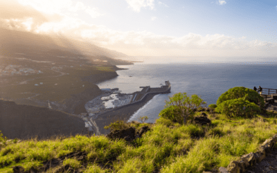 El Cabildo de La Palma y las direcciones generales de Costas y Puertos impulsan la gestión insular del Puerto de Tazacorte